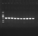 image010.png