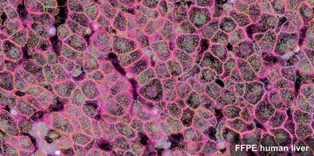 image002.png
