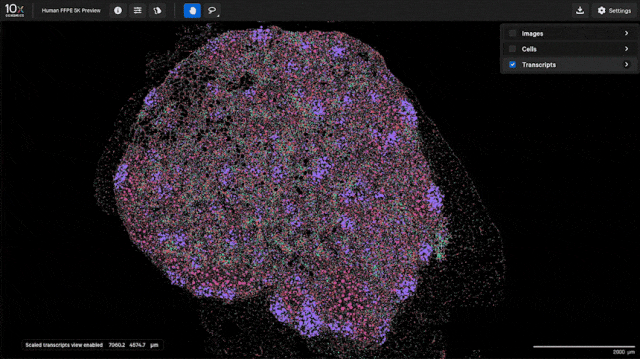 image006.gif