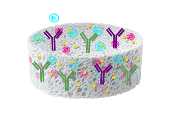 image004.png