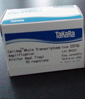 CellAmp Whole Transcriptome Amplification Kit��for Real Time��