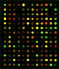 lncRNAоƬ