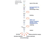 NucleoSpin miRNA
