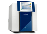 ViiA 7���r����PCR�x
